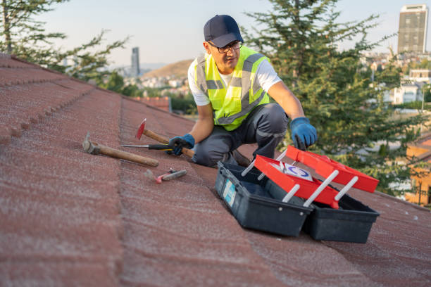 Best Hoarding Cleanup  in Penitas, TX